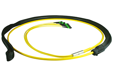 MPO Loose Tube Trunk