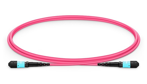 OM4 MPO to MPO Female, 12 Fibers Low Loss Trunk Cable, Type A/B
