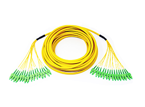 Indoor Pre-terminated Cables